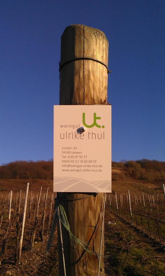 Ferienweingut Ulrike Thul Leiwen Exterior foto